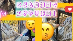 ブロッサムジュニア川崎登戸教室 写真9