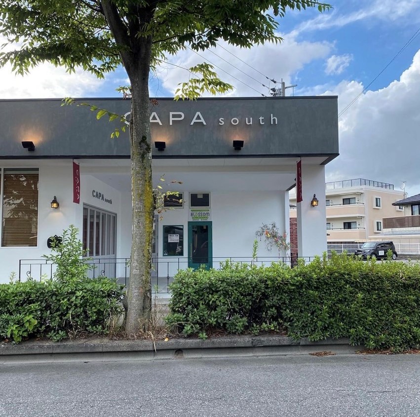 ブロッサムジュニア春日野教室