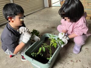野菜を育てる活動