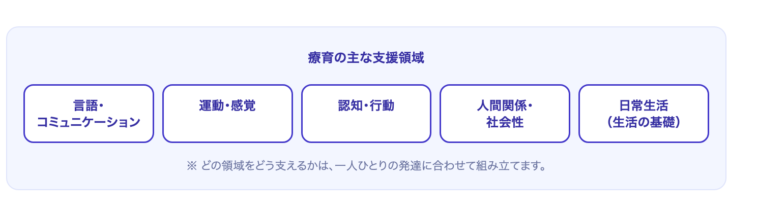 療育の主な支援領域(言語・運動・認知・社会性・生活)を示す図